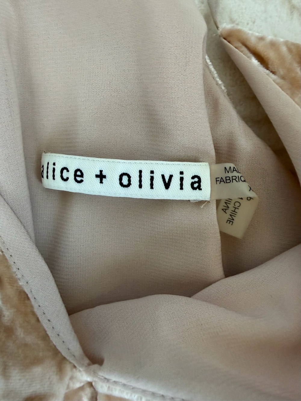 Alice & Olivia Crushed Velvet Slip Dress in Champagne - Picture 4 of 4